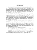 Phân tích, đánh giá tình hình và một số giải pháp nhằm đẩy mạnh hoạt động sản xuất kinh doanh của công ty TNHH hiệp phong 