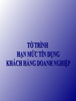 TỜ TRÌNH HẠN MỨC TÍN DỤNG DOANH NGHIỆP