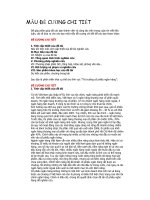 Tài liệu MẪU ĐỀ CƯƠNG CHI TIẾT doc