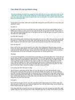 Tài liệu Các nhân tố của sự thành công pdf