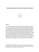 Tài liệu Financial Development and Industrial Capital Accumulation pdf