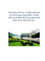 Tài liệu Tiểu luận triết học 