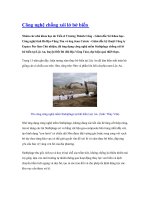 Tài liệu Công nghệ chống xói lở bờ biển doc