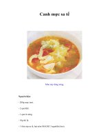 Tài liệu Canh mực sa tế pdf