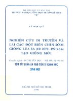 Luận án phó tiến sỹ Nghiên cứu di truyền và lai các đột biến chín sớm giống lúa 8A ( IR 2070 -199.3.6.6 ) tạo giống mới