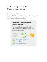 Tài liệu Sao lưu dữ liệu của hệ điều hành Windows Home Server-P2 doc