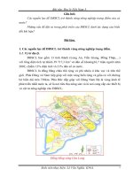 Tài liệu Bài tập địa lý Việt Nam 3 pdf