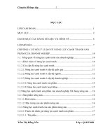 Nâng cao năng lực cạnh tranh của sản phẩm nông sản xuất khẩu tại cổ phần xuất nhập khẩu và hợp tác đầu tư vilexim 