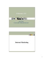 Tài liệu E-Business Part 2 of 3:Internet Marketing ppt
