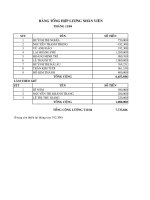 Tài liệu Bảng tổng hợp lương nhân viên pptx