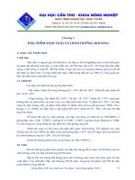 Tài liệu sinh thái và dinh dưỡng kháng của cây bắp docx