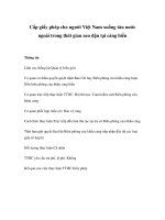 Tài liệu Cấp giấy phép cho người Việt Nam xuống tàu nước ngoài trong thời gian neo đậu tại cảng biển doc