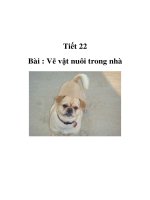 Tài liệu Mỹ thuật lớp 1 - Tiết 22 - Bài : Vẽ vật nuôi trong nhà doc