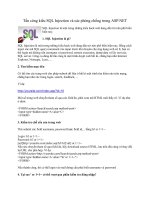 Tài liệu Tấn công kiểu SQL Injection và các phòng chống trong ASP.NET ppt