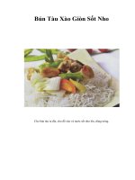 Tài liệu Bún Tàu Xào Giòn Sốt Nho doc