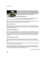 Tài liệu Làm sếp trẻ ppt