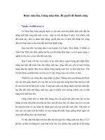 Tài liệu Được mùa lúa, trúng mùa tôm: Bí quyết để thành công pdf