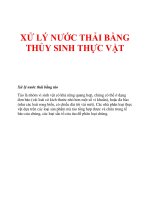 Tài liệu Tự nhiên,môi trường,tảo,vi sinh vật,sắc tố,thủy thực vật sống trôi nổi,thủy thực vật sống chìm docx