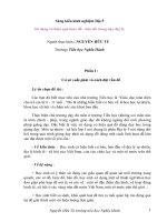 Tài liệu Sáng kiến kinh nghiệm môn địa lý lớp 5 