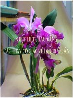 những kiến thức cơ bản về phương trình hệ phương trình