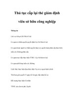 Tài liệu Thủ tục cấp lại thẻ giám định viên sở hữu công nghiệp ppt