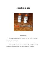 Tài liệu Insulin là gì? pptx