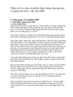 Phân tích cơ bản cổ phiếu ngân hàng thương mại cổ phần sài gòn   hà nội SHB 