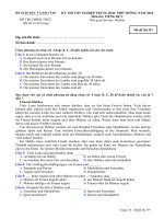 Tài liệu Đề thi chính thức kỳ thi tốt nghiệp THPT 2010 môn tiếng Đức (Mã đề thi 397) doc