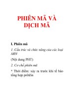 Tài liệu phiên mã và dịch mã ppt