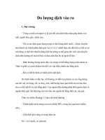 Tài liệu Đo lượng dịch vào ra ppt