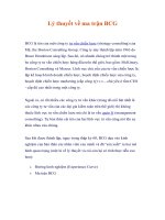 Tài liệu Lý thuyết về ma trận BCG docx