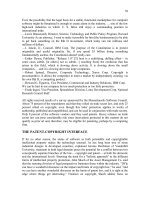 Tài liệu IP issues in software pptx