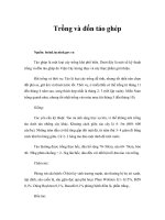 Tài liệu Trồng và đốn táo ghép pptx