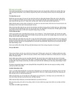 Đổi món với cá hấp 