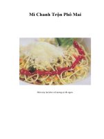 Tài liệu Mì Chanh Trộn Phô Mai pdf