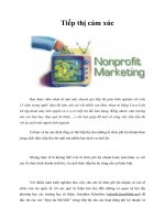 Tài liệu Tiếp thị cảm xúc pdf