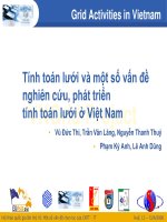 Tính toán lưới và một số vấn đề nghiên cứu, phát triển tính toán lưới ở Việt Nam
