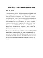 Tài liệu Kinh tế học vi mô: Sự phân phối thu nhập docx