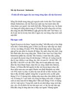 Tài liệu Sắc tộc Korowai - Indonesia pptx