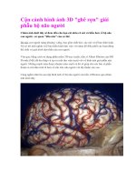 Tìm hiểu về bộ não con người qua hình ảnh 3D sống động