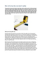 Tài liệu Bảo vệ thương hiệu của doanh nghiệp pptx