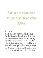 Tài liệu Sự sinh sản của thực vật bậc cao (Quả) pptx