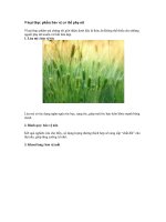 Tài liệu 9 loại thực phẩm bảo vệ cơ thể phụ nữ pdf