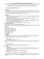 Hạn mức tín dụng trong cho vay bổ sung vốn lưu động 