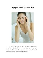 Tài liệu Nguyên nhân gây đau đầu doc