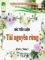 Tài liệu Tiểu luận: Tài nguyên rừng docx