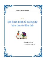 Mô hình kinh tế lượng dự báo thu từ dầu thô
