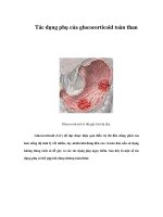 Tài liệu Tác dụng phụ của glucocorticoid toàn than pdf