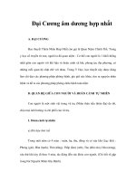 Tài liệu Đại Cương âm dương hợp nhất pptx