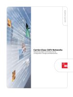 Tài liệu Carrier-Class CATV Networks Maintaining Signal Connectivity During Configuration Changes and Maintenance docx